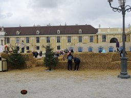 Christkindlmarkt Schönbrunn am 10. 11. 2025